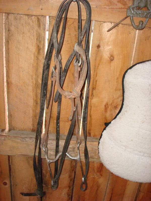 Horse Tack, New and Used FOR SALE The Horse Forum